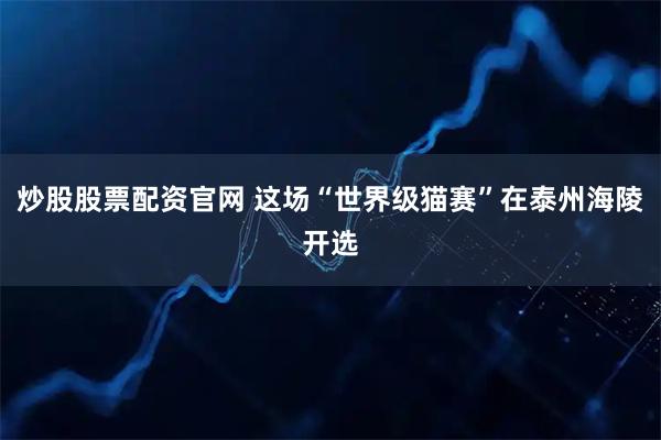 炒股股票配资官网 这场“世界级猫赛”在泰州海陵开选